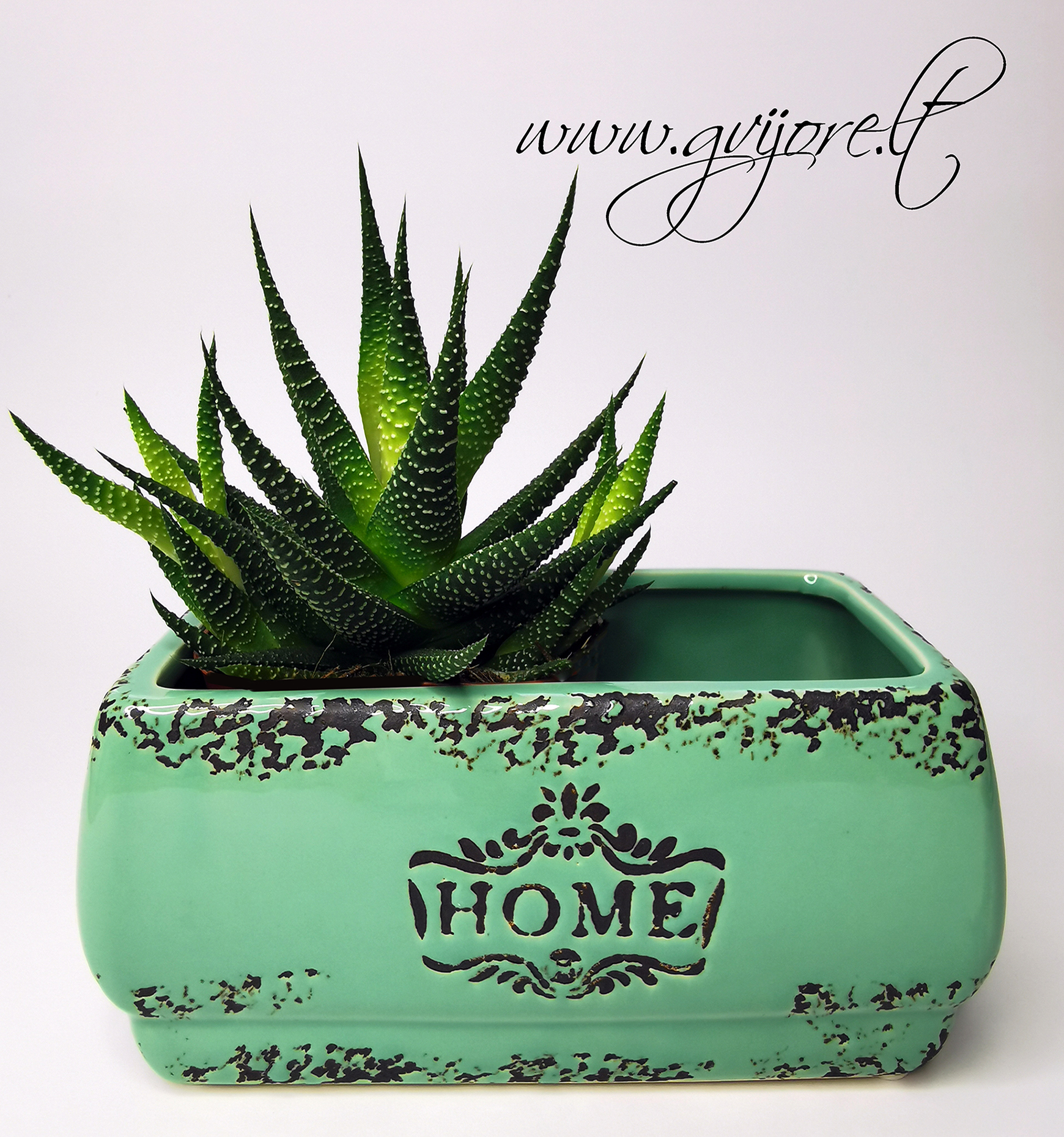 "Home" žalias vazonėlis